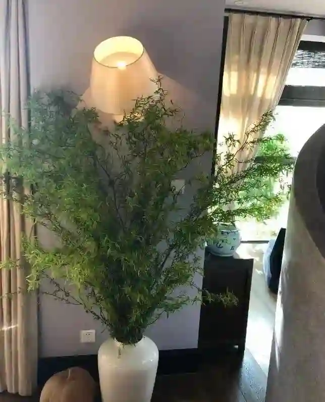 直到看完殷桃的家，终于明白她45岁却不着急结婚生子的原因了