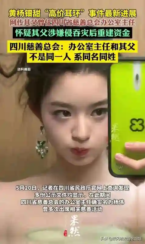 天价耳环事件四川慈善总会回应，<em>黄杨</em>钿甜星途或保住了