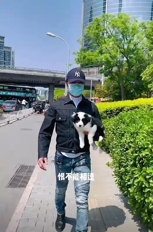 吴佳妮披露马景涛晕倒原因：谈新女友后健康每况愈下，拒见子女