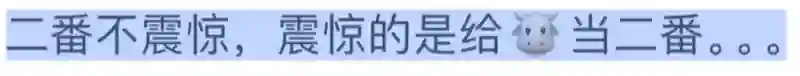 还以为她咋了…骂这么难听？