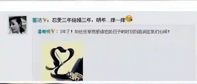 忘拉窗帘12年后，董洁再次尝试复出，却尝到苦果