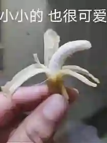1.5TB满血小屏！这7600mAh新机，要硬刚红米啊