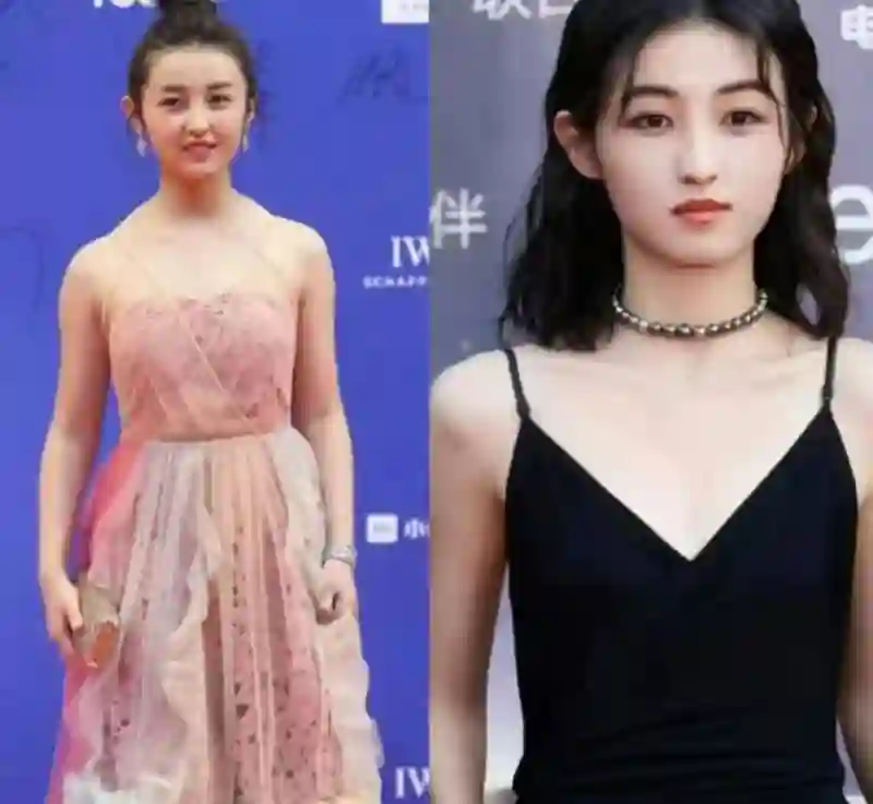 上影节闭幕式之夜，小花颜值飙升，中年明星“撑场面”！