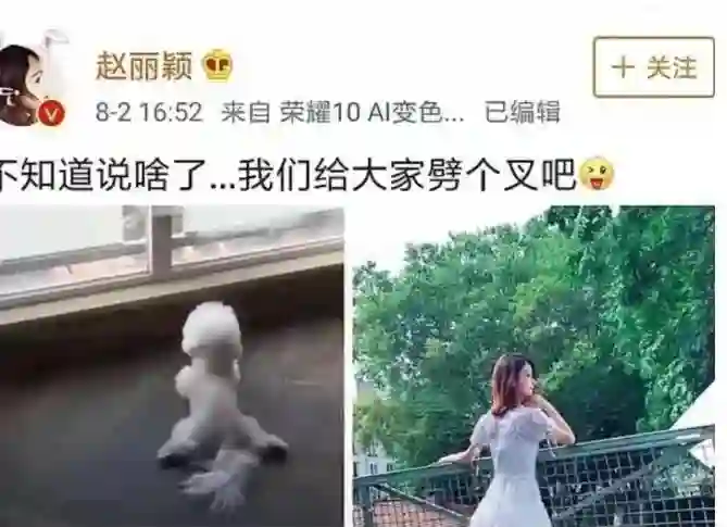 这一次，赵丽颖的态度，终究没给一声不吭的赵德胤留一丝体面！