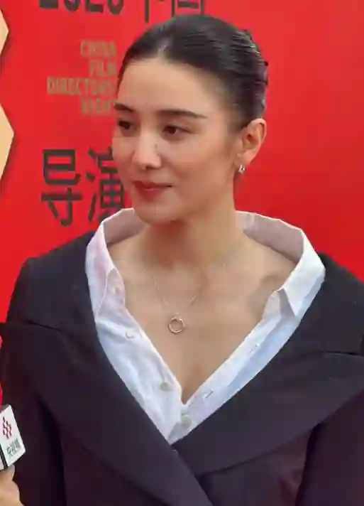 中国电影导演之夜：宋佳满分贵气，刘雨昕造型怪，周笔畅你穿的啥