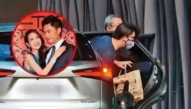林依晨怀孕7个月露面，素颜瘦了很多，遮挡孕肚被众人保护