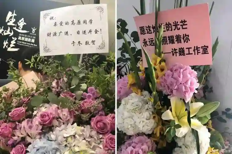 王菲窦唯北京往事：青春时爱上的人，要用多少个十年才能释怀？