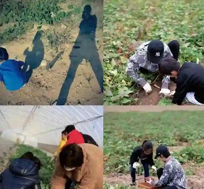 孙俪家曝光，终于明白她5年只拍2部戏的原因，生活比工作更重要