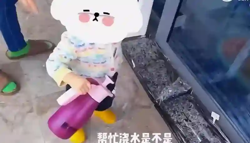 嫁给郑恺五年后，冯小刚直言苗苗虚伪，竟踏上新的人生轨迹