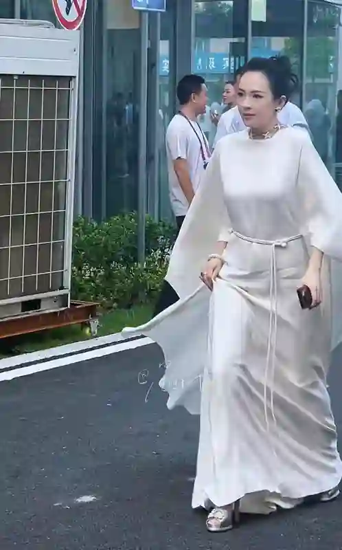 章子怡现身活动嫂子陪同现身，跟在身后像助理，曾出演知名角色