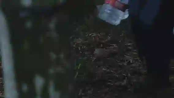 我宣布，最适合大风天看的剧出现了