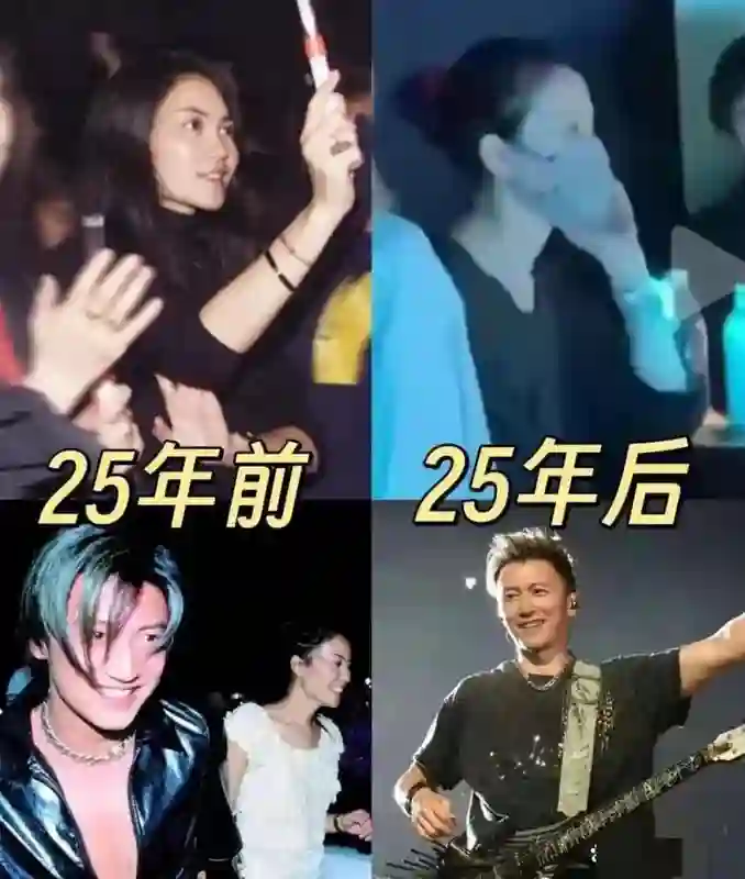 一场旅行看透“锋菲恋”真相，只会当妈的张柏芝、输给王菲是必然