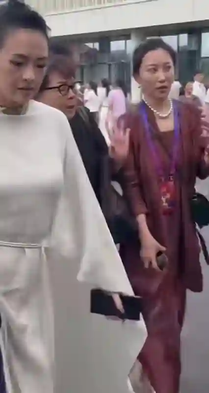 章子怡现身活动嫂子陪同现身，跟在身后像助理，曾出演知名角色