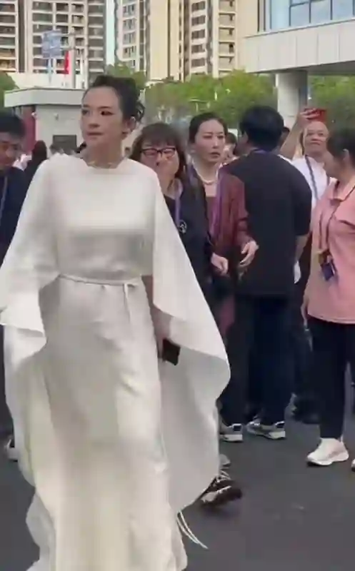 章子怡现身活动嫂子陪同现身，跟在身后像助理，曾出演知名角色