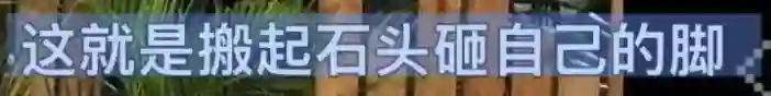 她最大的问题是不太聪明，又很想赢？