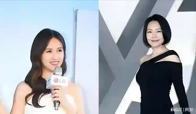 小S复工不顺利，对吴宗宪女儿吴姗儒开大，一记拳头打在了棉花上