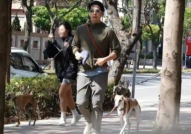 台媒曝蔡依林彭于晏已复合6年拒绝官宣，曾遭彭母反对分手