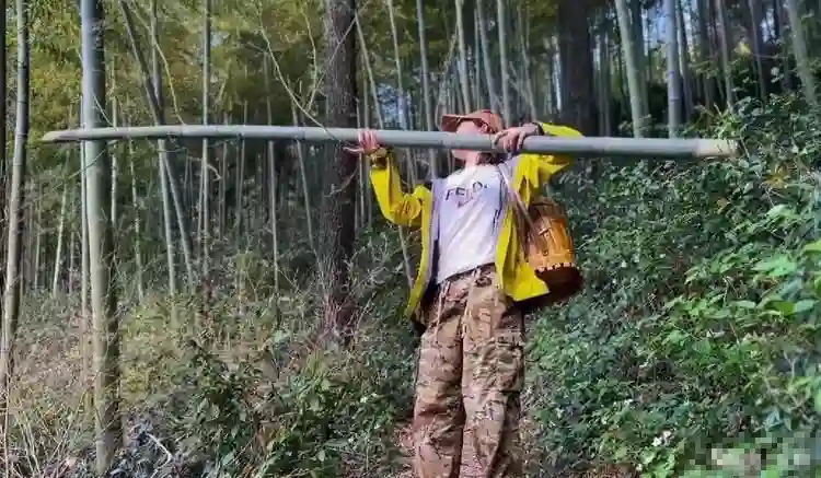 郑恺夫妇买珠宝被偶遇，苗苗穿大码短袖遮身材，外八严重像怀4胎