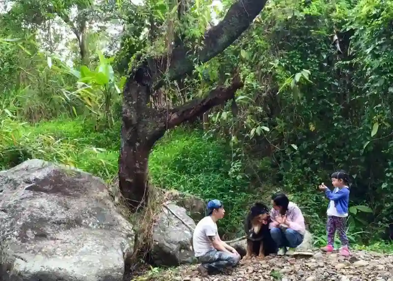 53岁朱茵现状曝光：深山残屋为家，97年旧车代步，活成娱乐圈李子柒