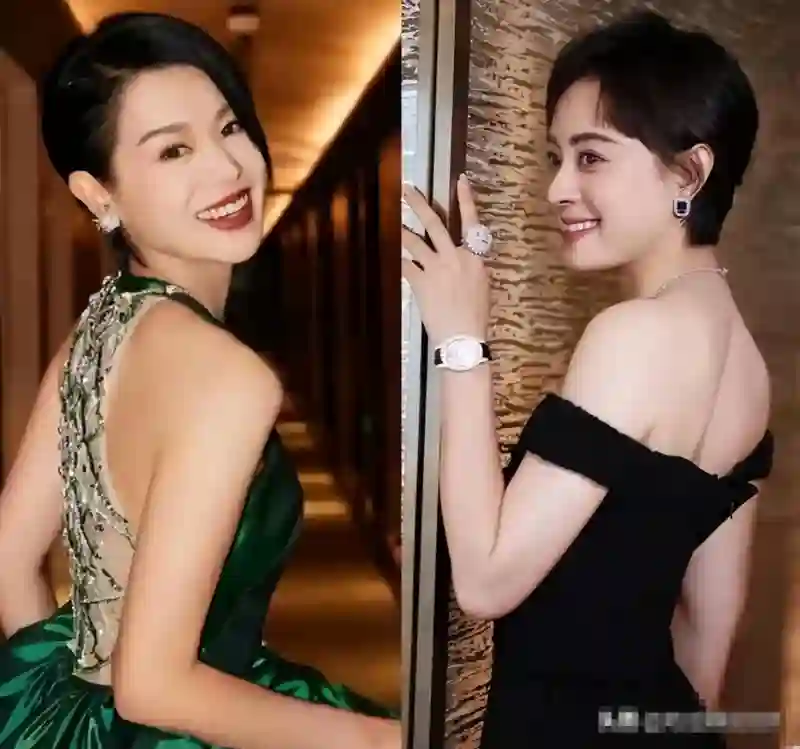 “整容脸”入侵电视剧！秒变大型翻车现场，胡杏儿怎么变成这样了