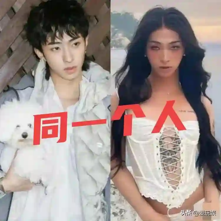 伊能静做梦也没想到，自己顶级名校留学回来的儿子，撕了她的体面