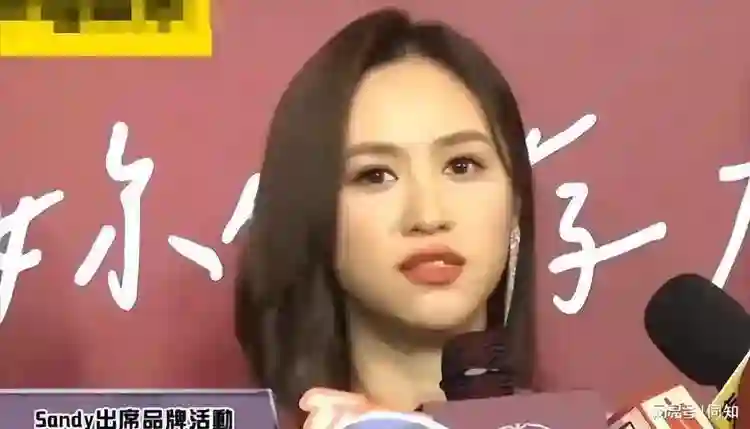 小S复工不顺利，对吴宗宪女儿吴姗儒开大，一记拳头打在了棉花上