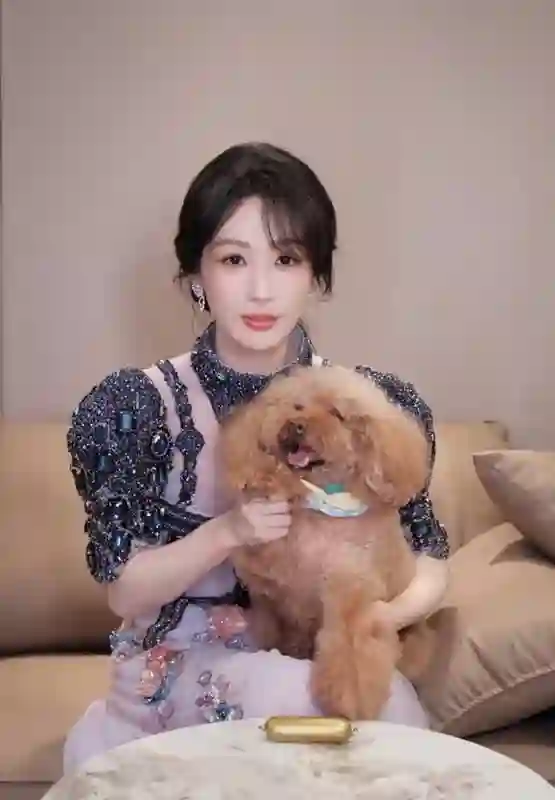 杨紫抱宠物狗PiuPiu跳手势舞，网友：被萌晕