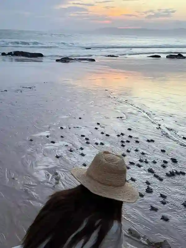 吴千语在夕阳下奔跑，她在韩国街头很美，施伯雄陪她和她闺蜜逛街