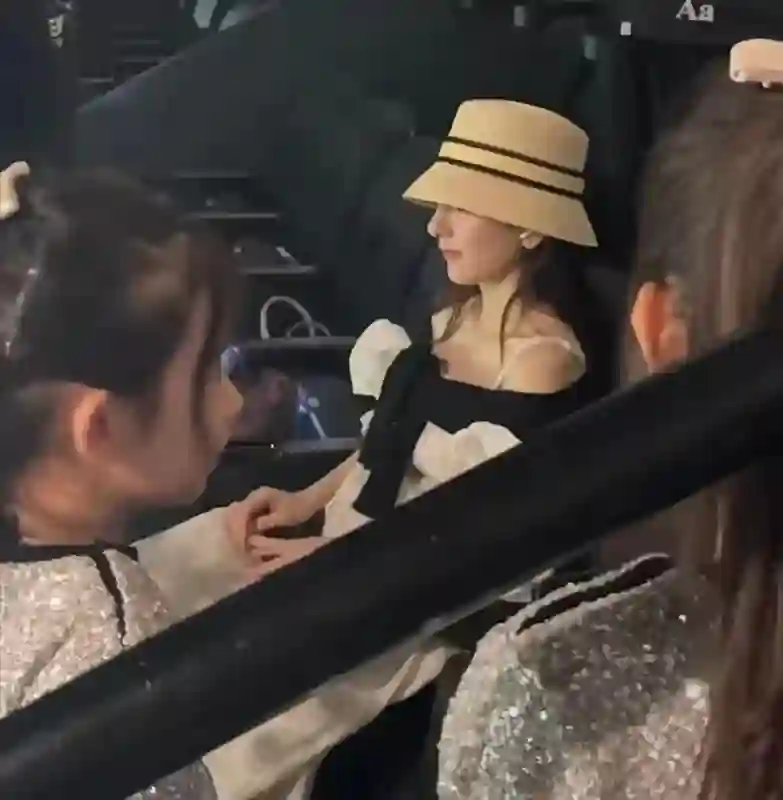 方媛带娃看郭富城演唱会，孕味十足圆润一圈，俩女儿侧脸像爸爸