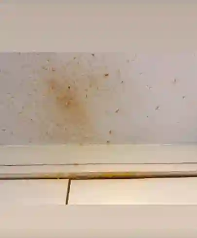 微波炉煮鸡蛋藏风险！女演员遇爆炸受伤后发声提醒：别再这样做