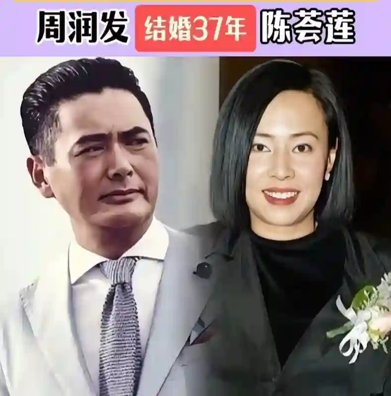 娱乐圈坚持丁克的10对夫妻，这么好的基因，没有后代可惜了