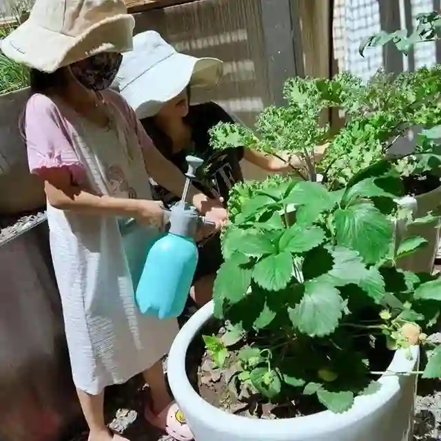 直到章子怡在豪宅自耕自足，才明白，这才是她敢和汪峰离婚的底气