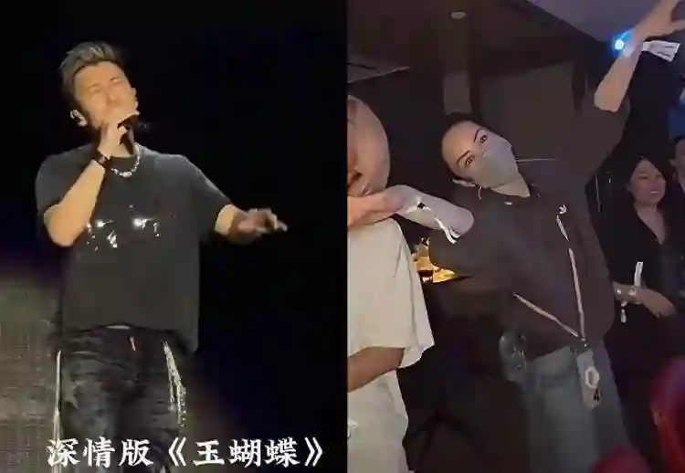 何超琼观看谢霆锋演唱会，前夫许晋亨也在，55岁李嘉欣被人搀扶