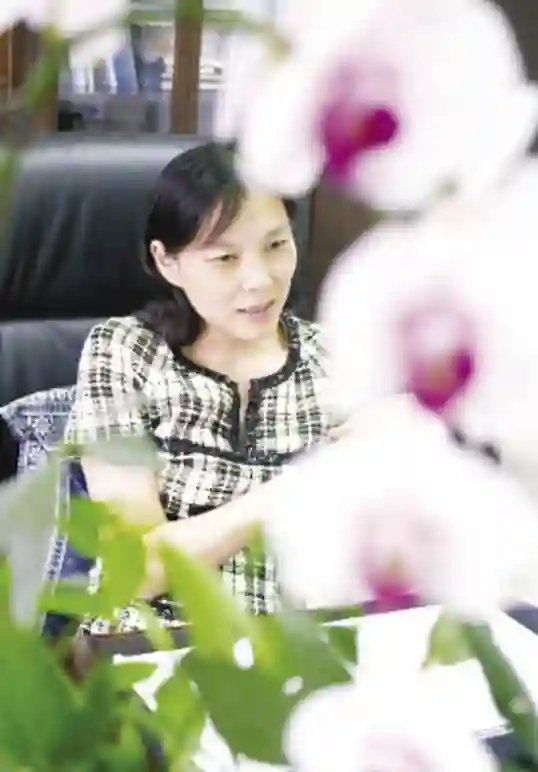 姐，这场继承之战你可一定要赢啊