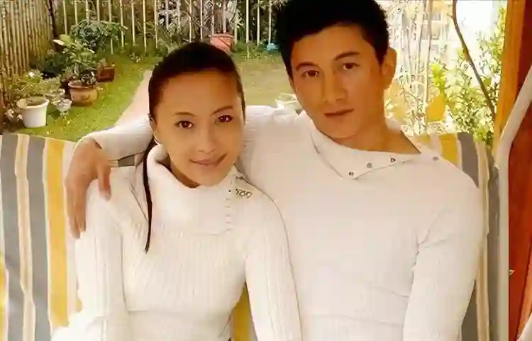 离婚传闻甚嚣尘上，“一言不发”的刘诗诗，终不再顾忌所谓的体面