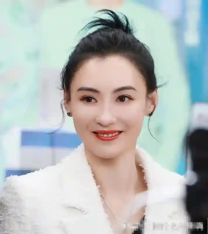 从谢霆锋到孙东海，张柏芝三胎生父成悬案！6字回应终结全民猜谜