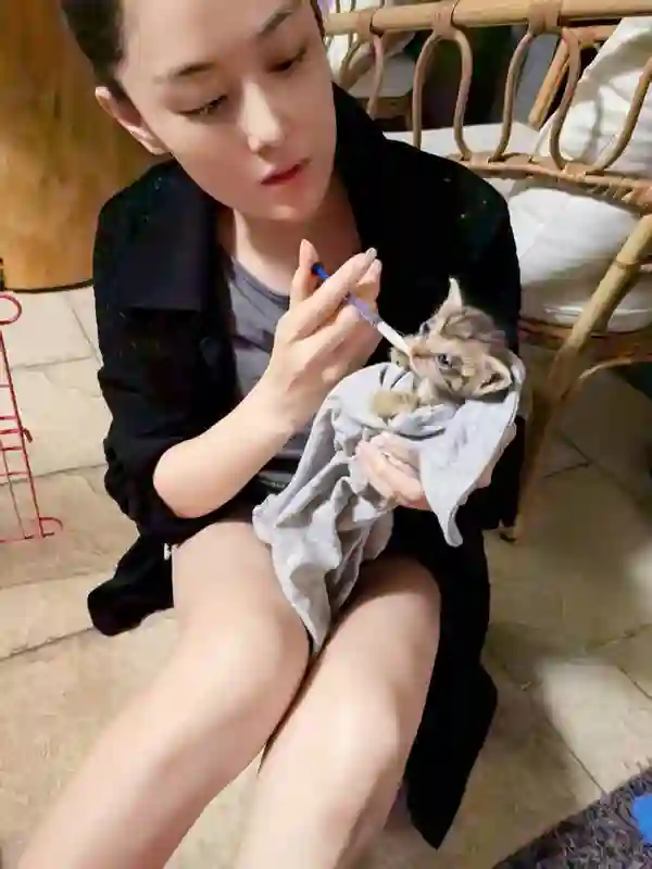 张馨予晒居家随拍，抱猫合影温馨又养眼