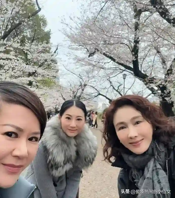 53岁黎姿赏樱，同行美女如云，医美与自然老去差距显著