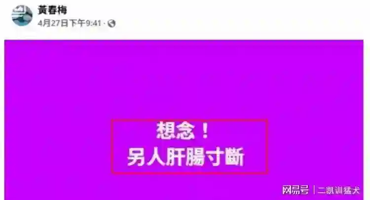曝小S已搬离许家豪宅，和S妈、大姐同住！方便一家人共同“疗伤”