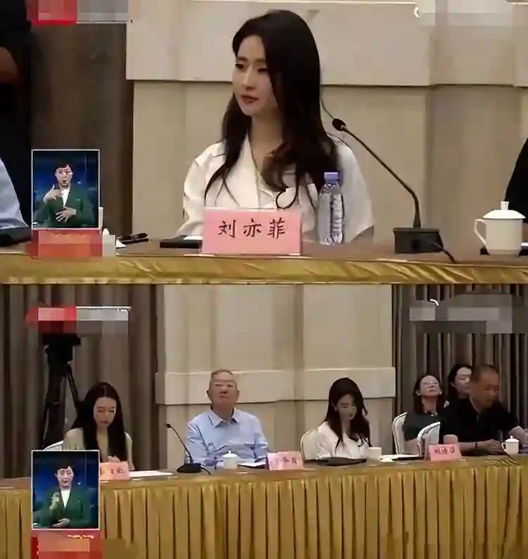 为什么赵丽颖不合群被夸刘亦菲不合群被骂？外交部的评价一针见血