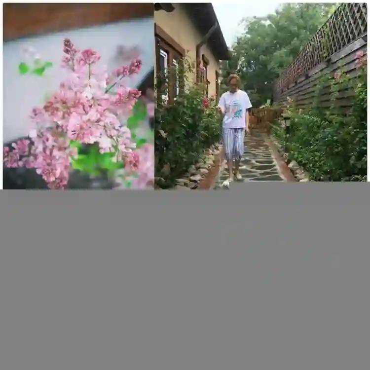 49岁李小冉爆丁克原因，一句话让向太无法反驳，现任娶她花了5亿
