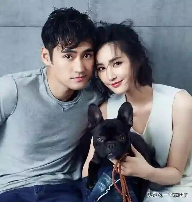 张歆艺袁弘带娃逛公园，袁弘扛娃超有爱，张歆艺状态也太好