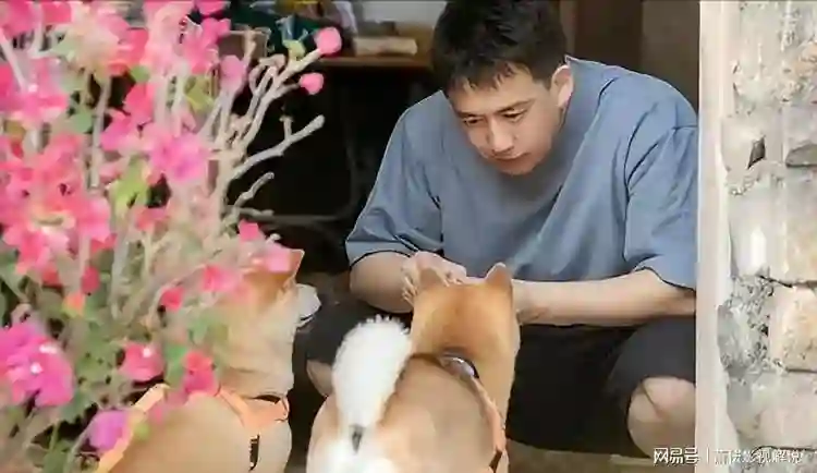 这一次，“强势女人”傅首尔的矫情被吴镇宇撕碎，章子怡也早看穿